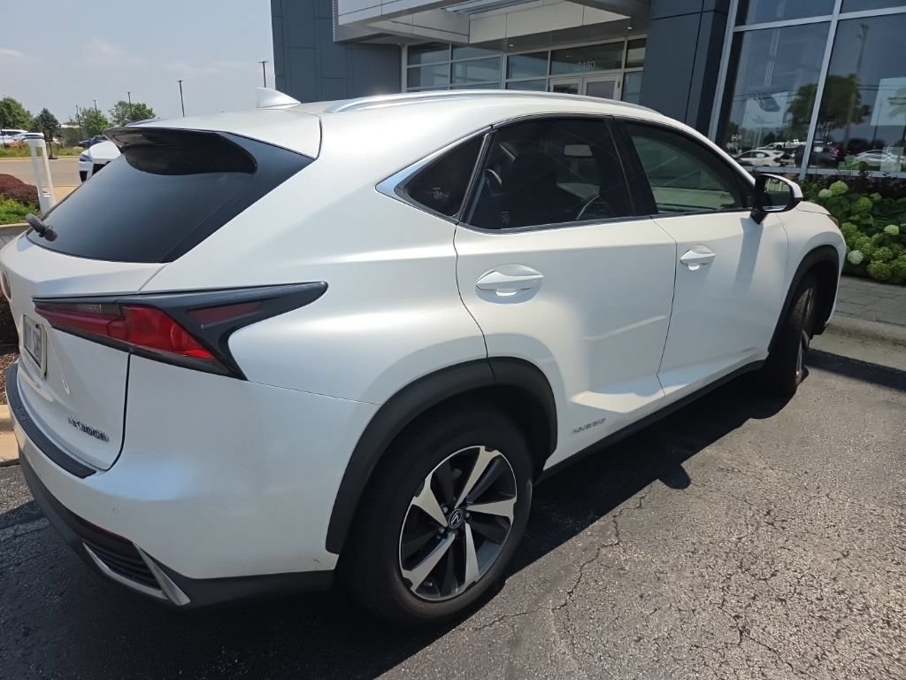 Used 2019 Lexus NX 300h AWD w/ Premium Package image 4