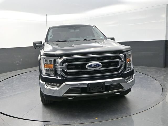 Used 2021 Ford F150 XLT w/ Equipment Group 302A High image 3