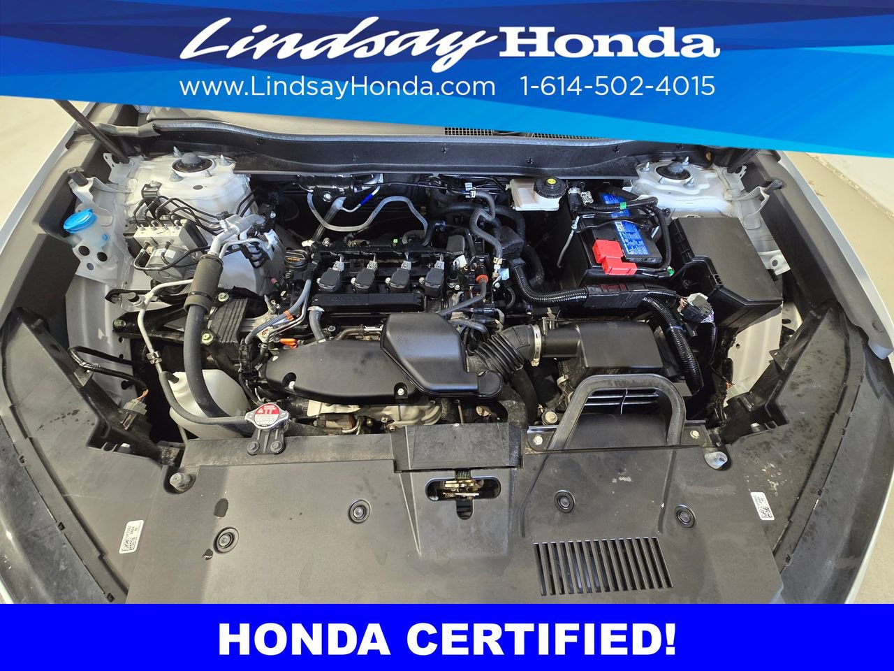 Certified 2025 Honda CR-V LX image 25