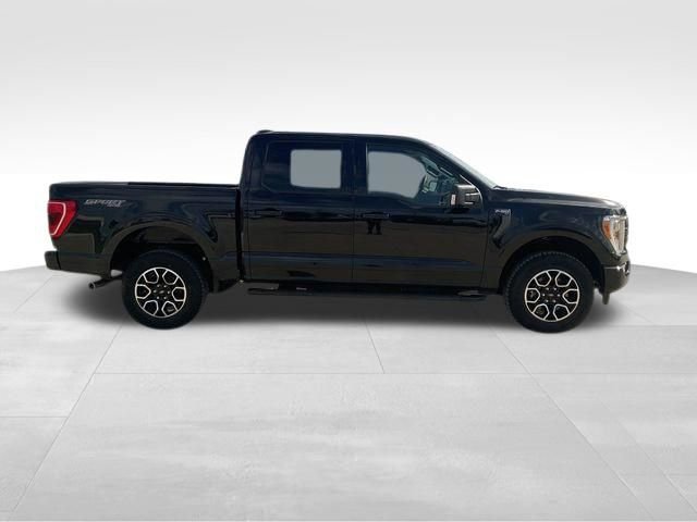 Used 2023 Ford F150 XLT w/ Equipment Group 302A High image 13