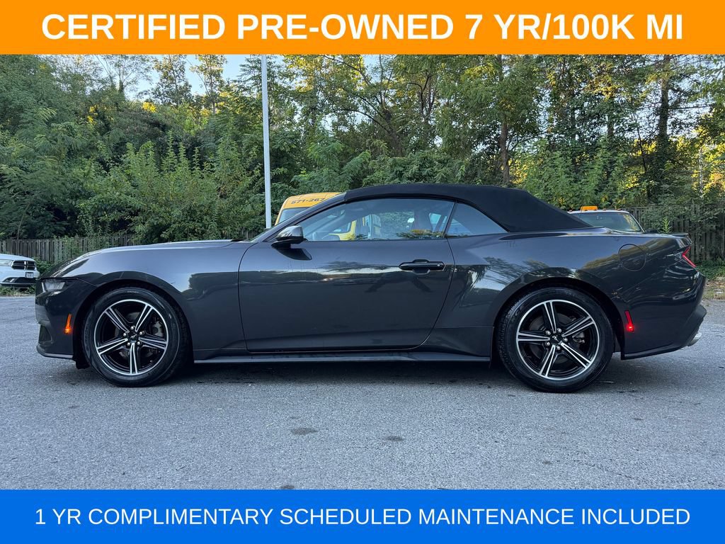 Used 2024 Ford Mustang Premium RWD image 4