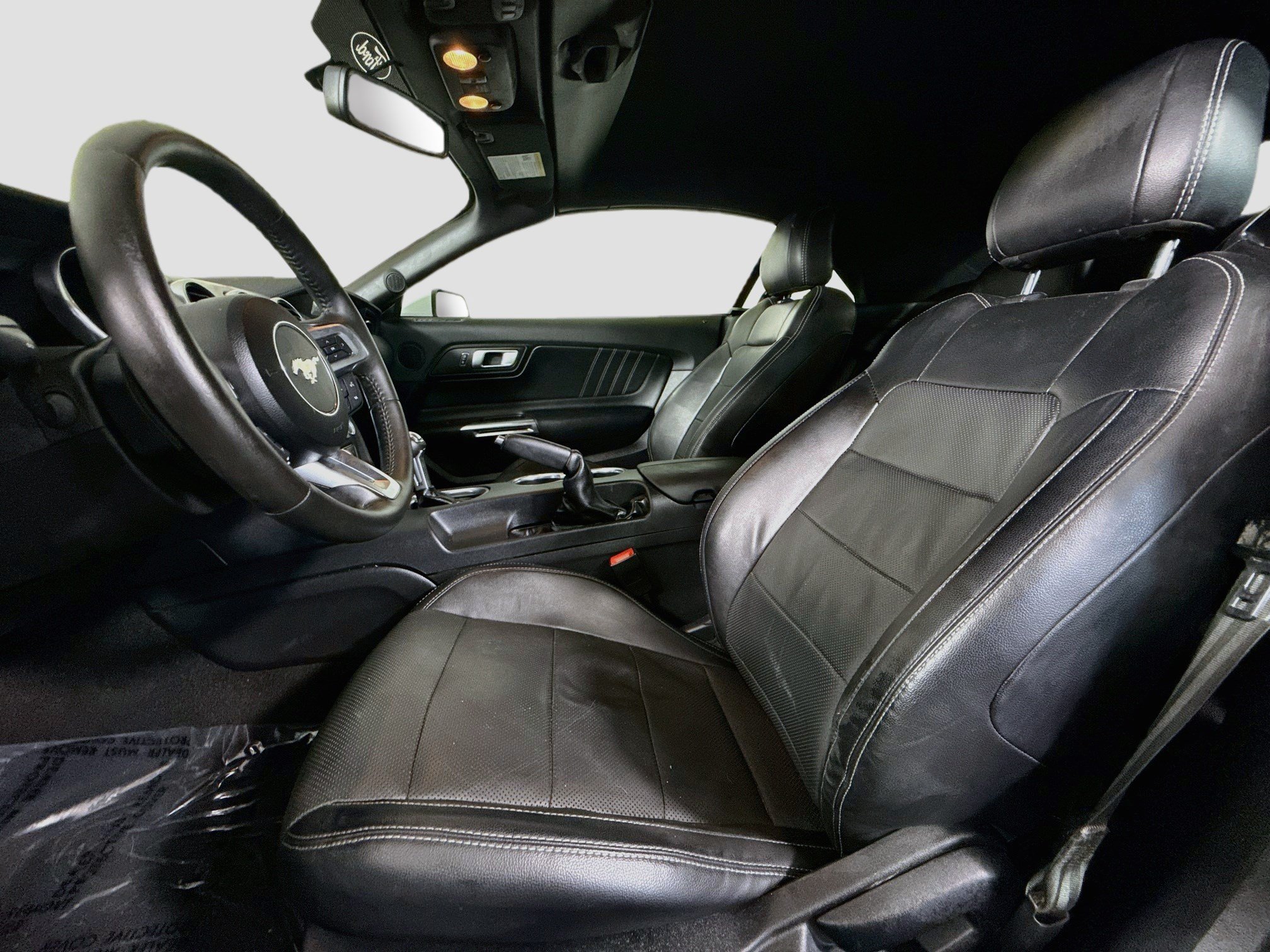 Used 2019 Ford Mustang Premium RWD image 22