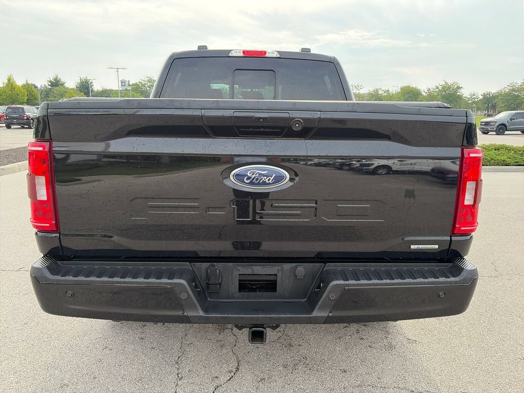 Used 2023 Ford F150 XLT w/ Equipment Group 302A High AWD/4WD image 6