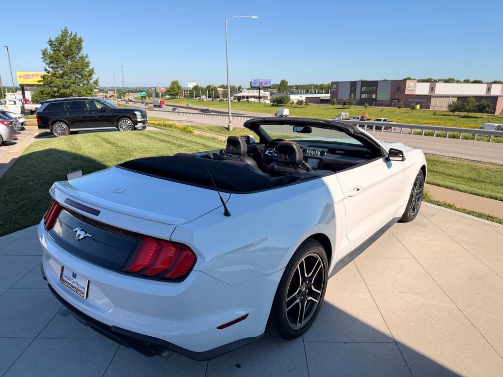 Used 2019 Ford Mustang Premium RWD image 5