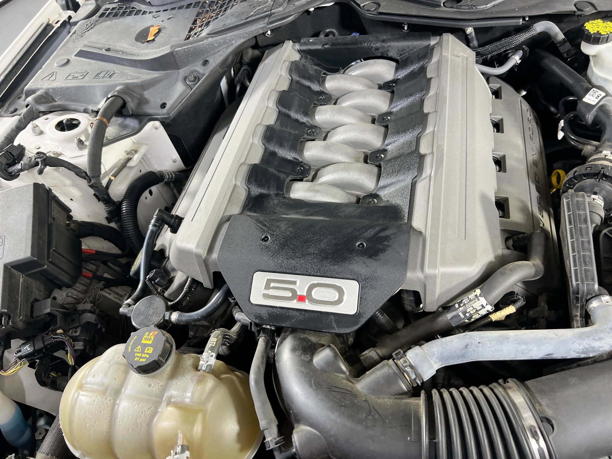 Used 2017 Ford Mustang GT Premium w/ Equipment Group 401A image 30