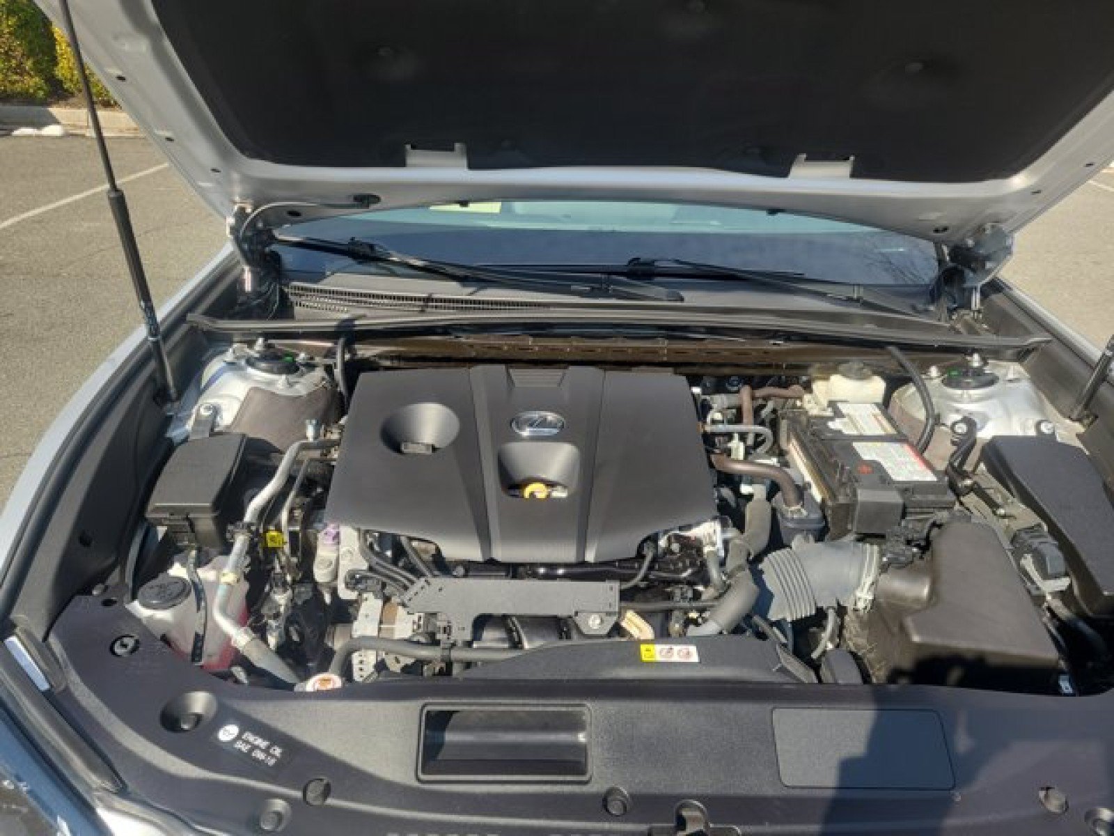 Used 2021 Lexus ES 250 w/ Premium Package AWD/4WD image 9