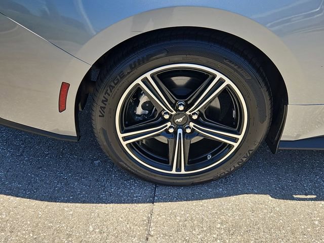 Used 2024 Ford Mustang Premium RWD image 5