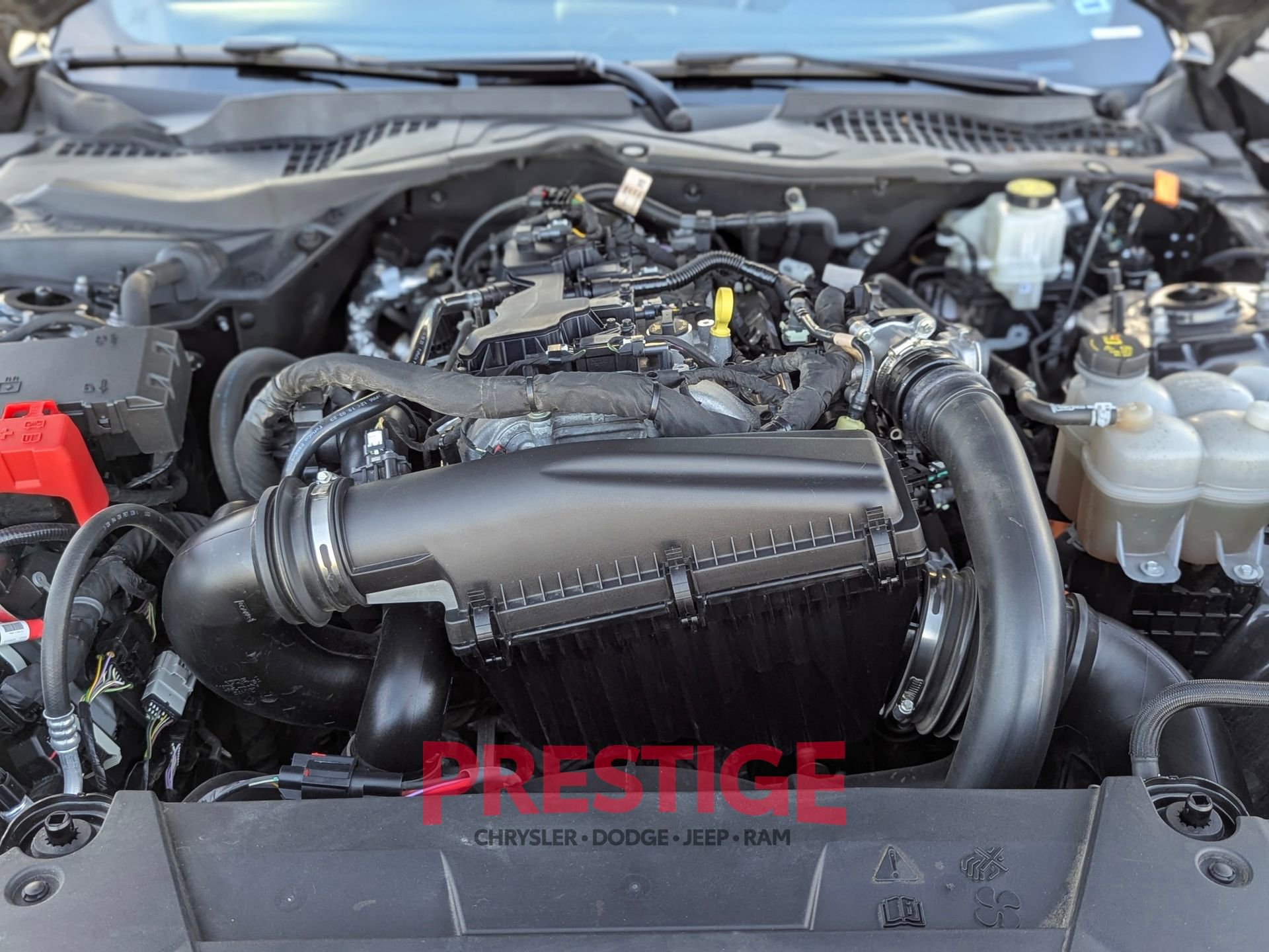 Used 2024 Ford Mustang EcoBoost image 30
