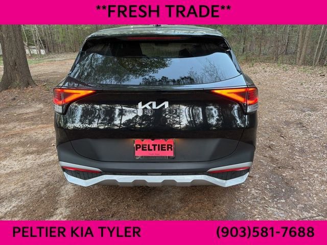 Certified 2024 Kia Sportage EX image 11