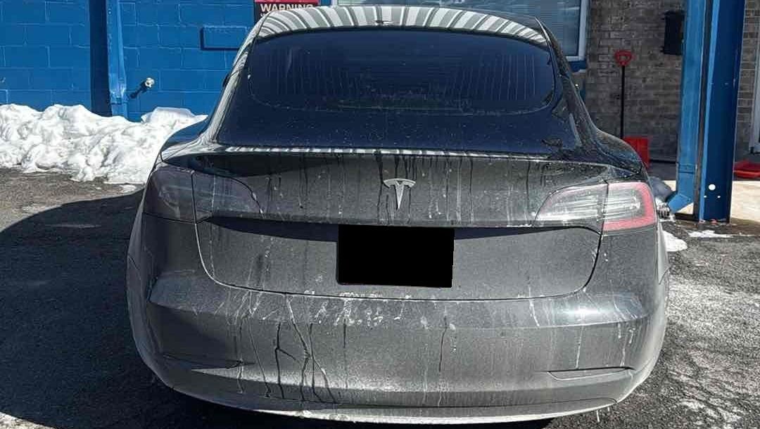 Used 2019 Tesla Model 3 Long Range image 3