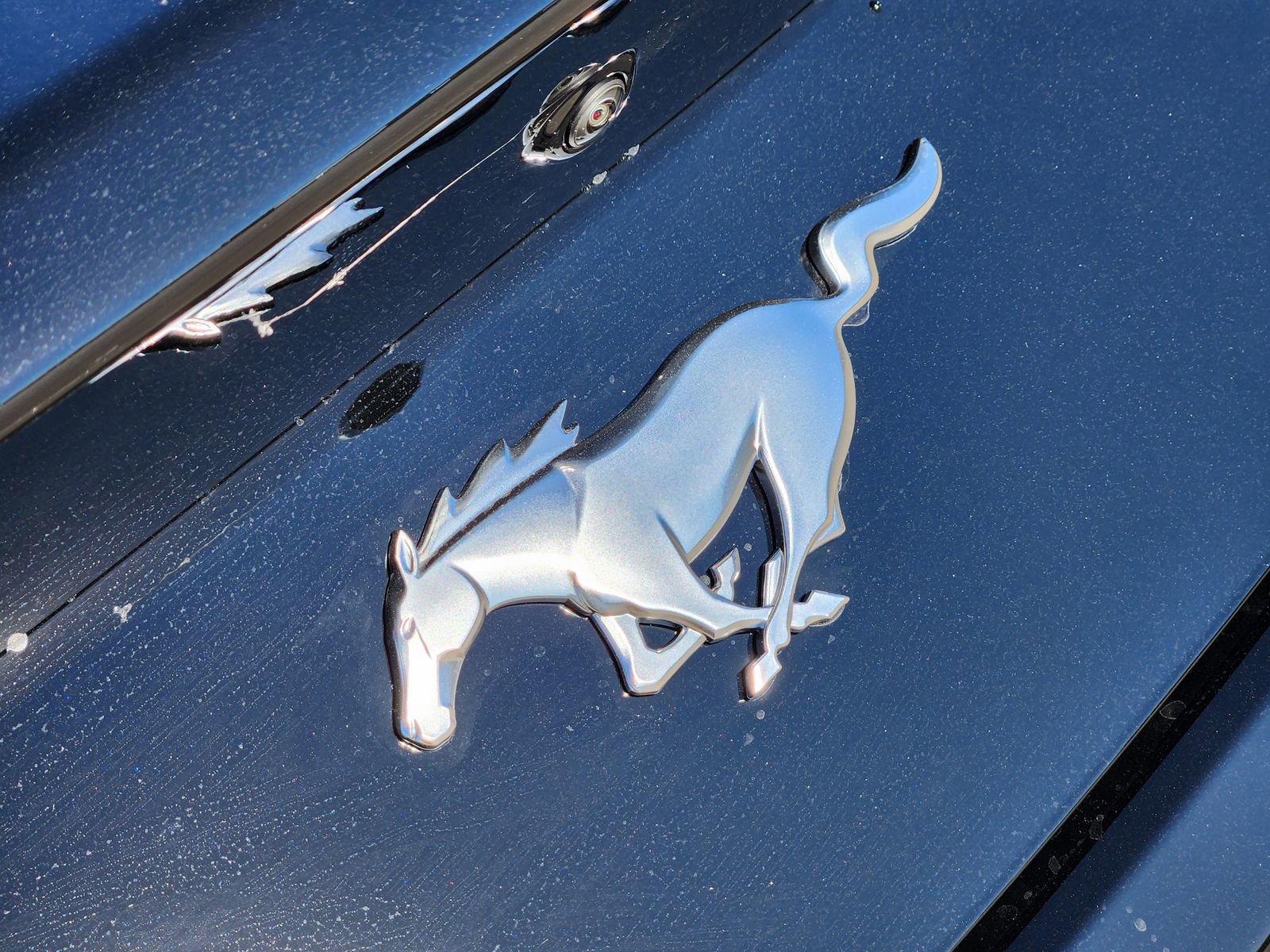 New 2026 Ford Mustang Coupe image 11