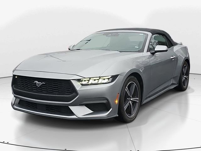 Used 2024 Ford Mustang Premium image 7