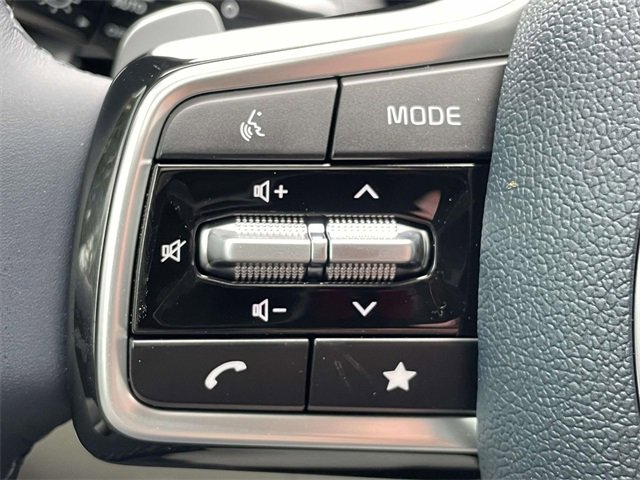 New 2026 Kia Carnival SX Prestige image 30