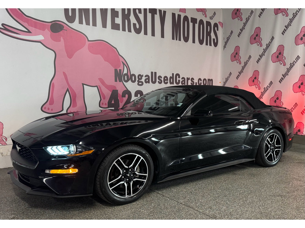 Used 2018 Ford Mustang Premium w/ Equipment Group 201A RWD image 9
