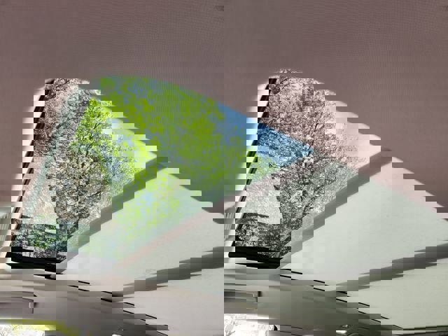 New 2026 Volkswagen Tiguan SE AWD/4WD image 23