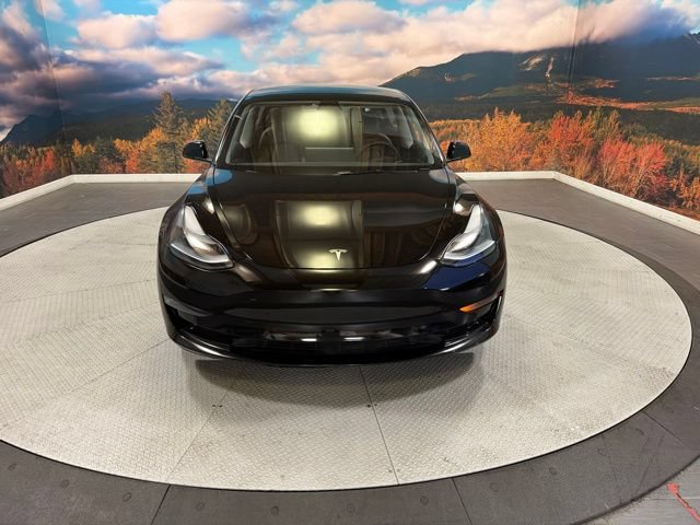 Used 2022 Tesla Model 3 Long Range AWD/4WD image 3
