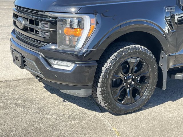 Used 2023 Ford F150 XLT w/ Equipment Group 302A High AWD/4WD image 11