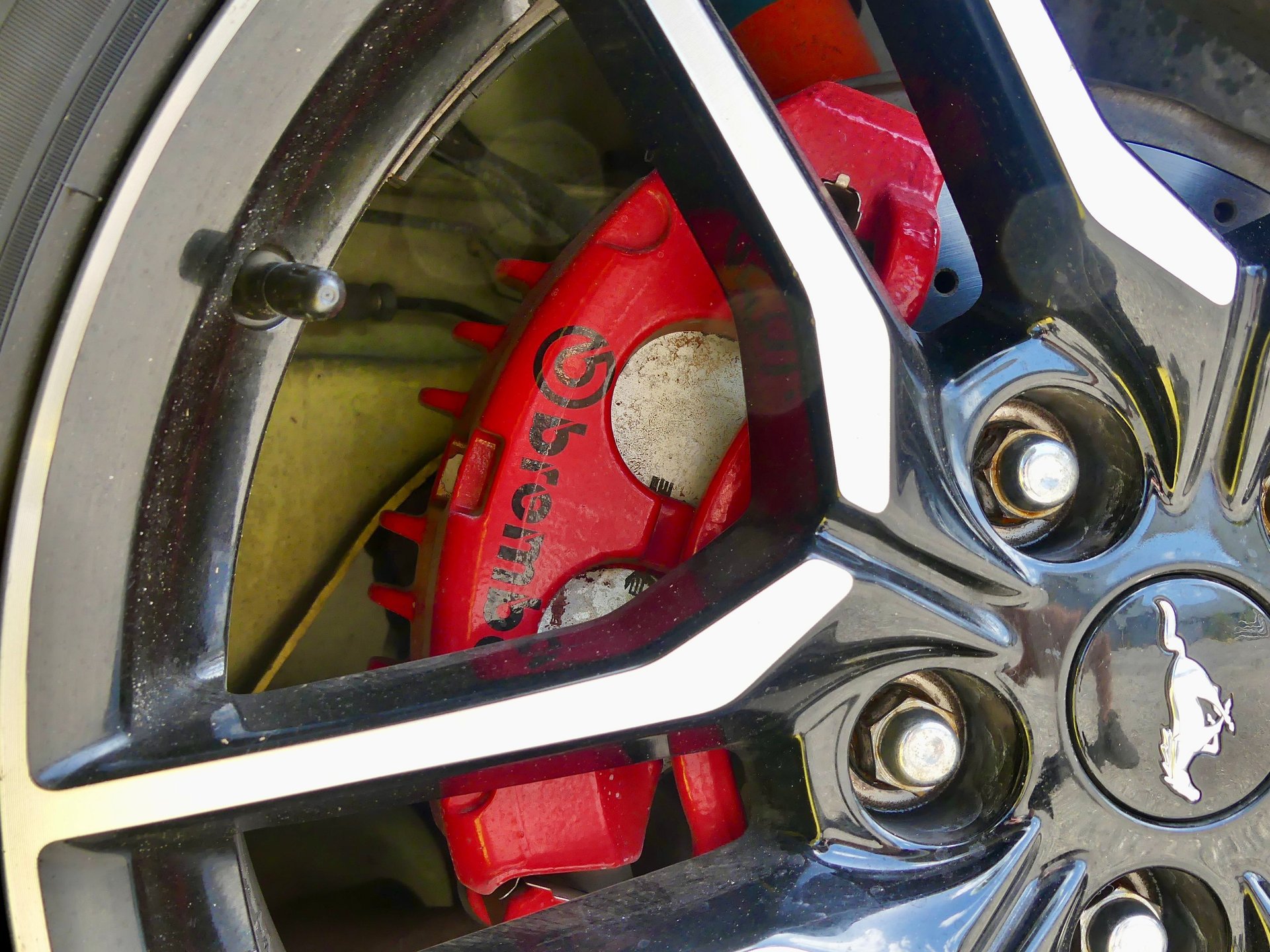Used 2001 Ford Mustang GT RWD image 97