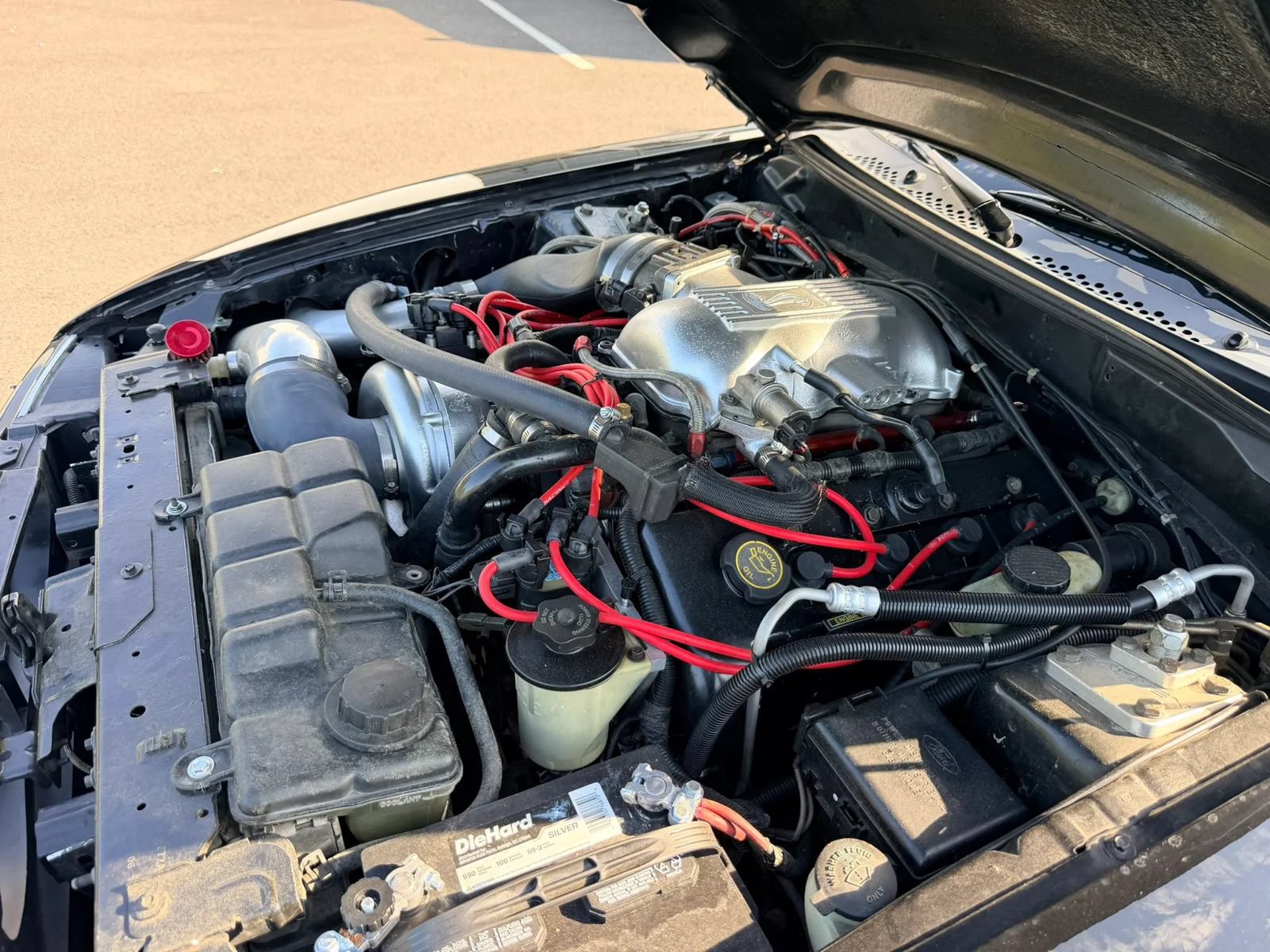 Used 1998 Ford Mustang Cobra RWD image 61