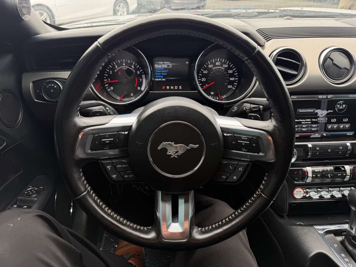Used 2015 Ford Mustang GT Premium w/ 50 Years Appearance Package RWD image 8