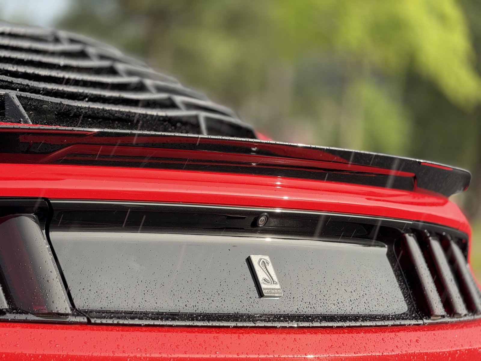 Used 2016 Ford Mustang Shelby GT350 w/ Track Package image 16