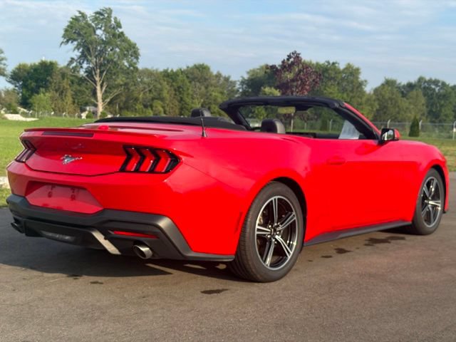Used 2024 Ford Mustang Premium RWD image 10