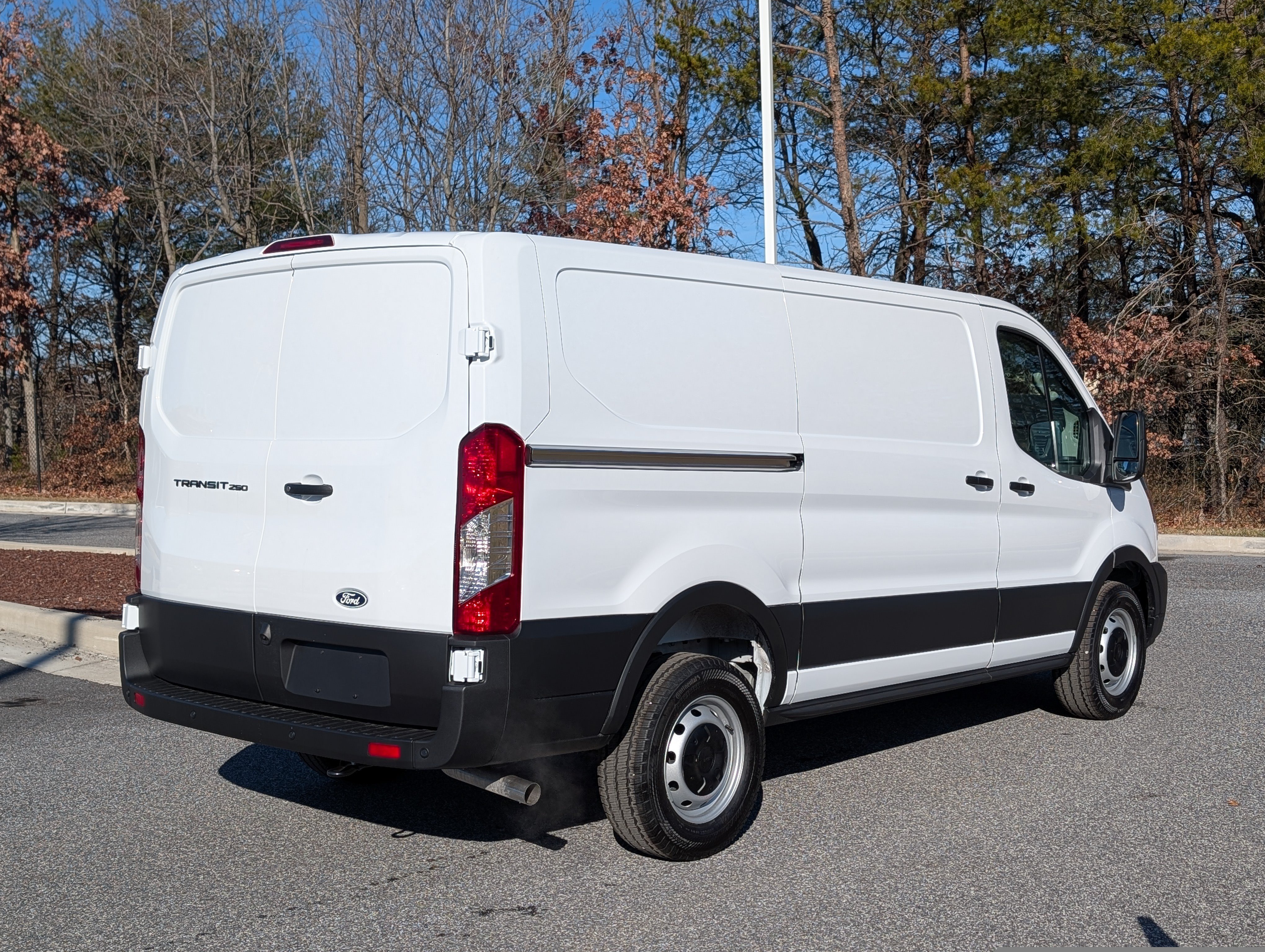 New 2026 Ford Transit 250 Low Roof w/ Load Area Protection Package RWD image 2