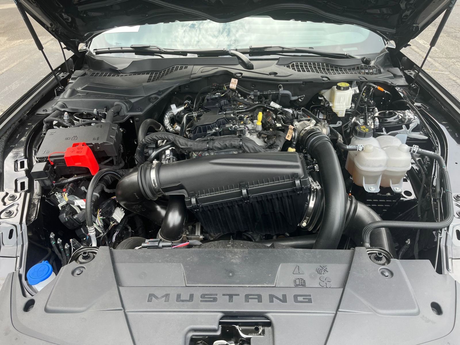 Used 2024 Ford Mustang Premium image 31