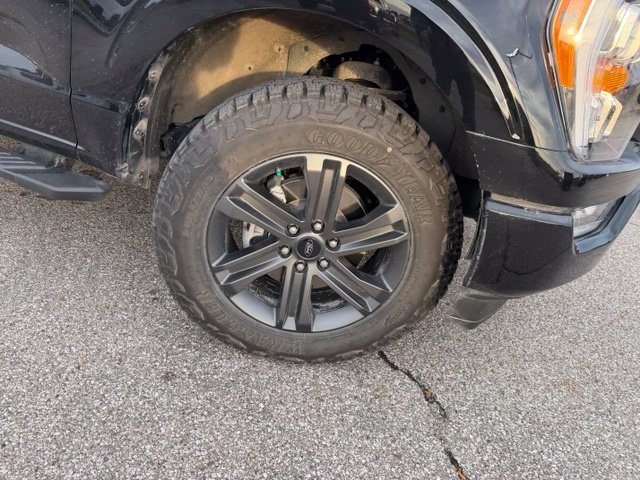 Used 2023 Ford F150 XLT w/ Equipment Group 302A High AWD/4WD image 18