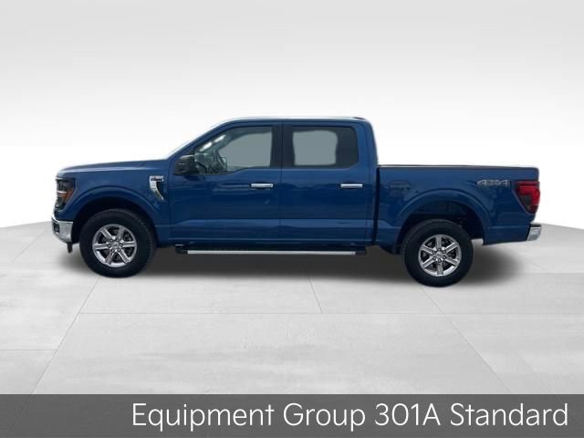 Used 2025 Ford F150 XLT w/ Equipment Group 301A Standard image 4