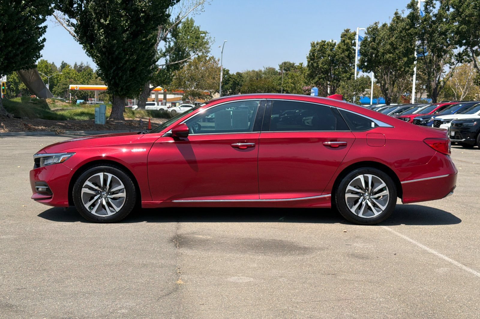 Used 2019 Honda Accord Touring image 7