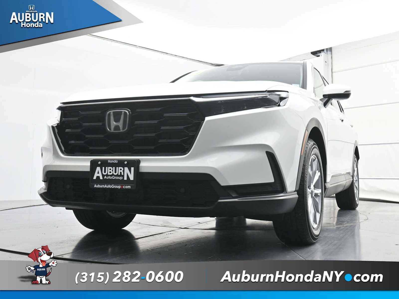 Used 2025 Honda CR-V EX-L image 13