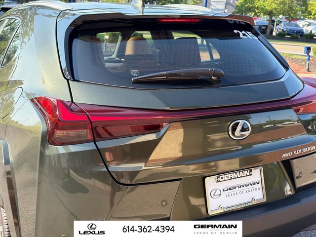 New 2026 Lexus UX 300h AWD w/ Cold Area Package image 9