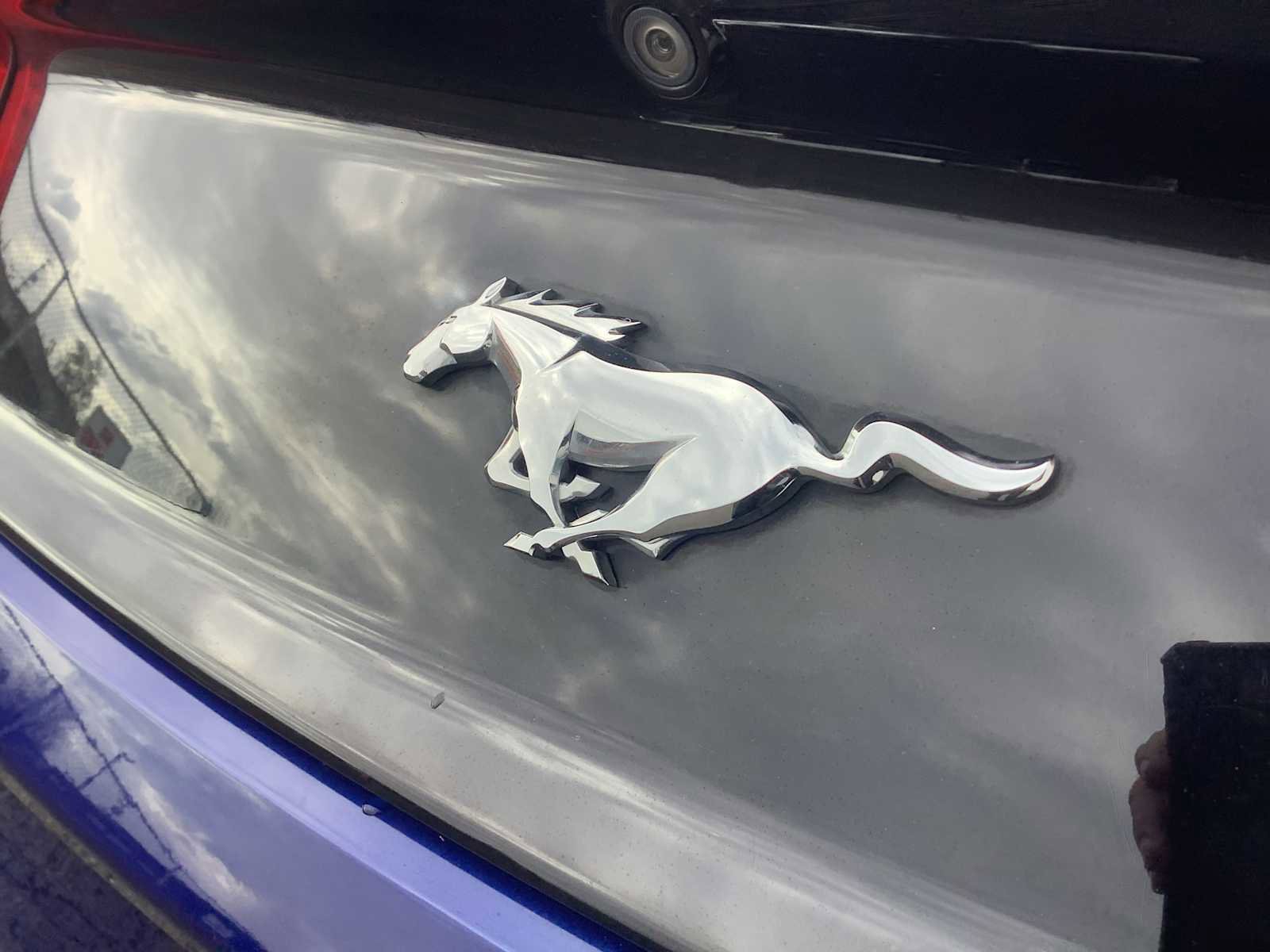 Used 2016 Ford Mustang Premium image 6