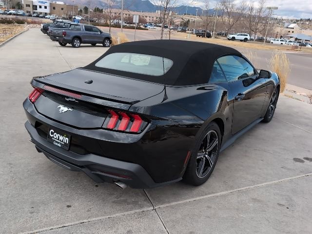 Used 2024 Ford Mustang Premium image 8