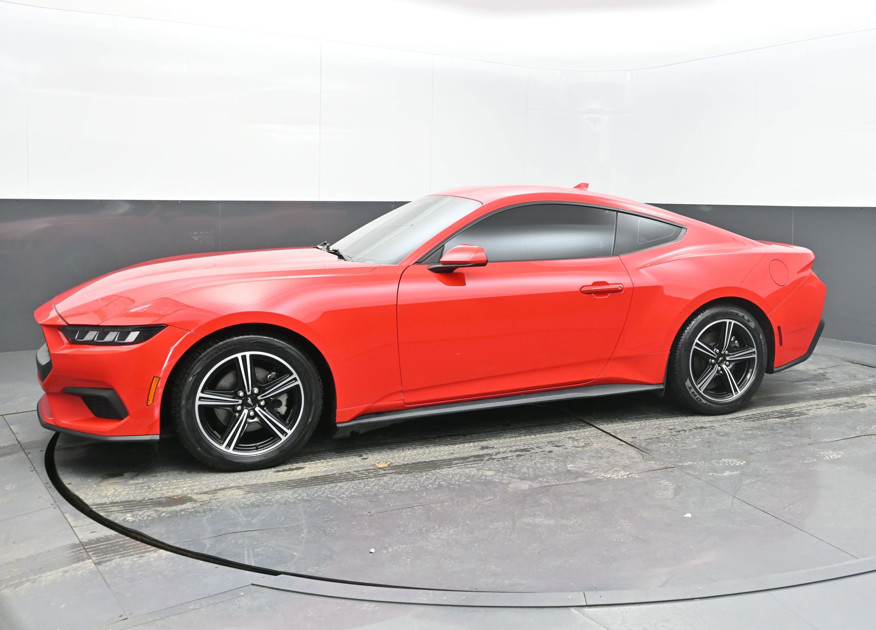Used 2024 Ford Mustang EcoBoost image 4