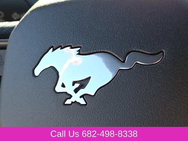 New 2026 Ford Mustang Coupe w/ Mustang Nite Pony Package RWD image 23