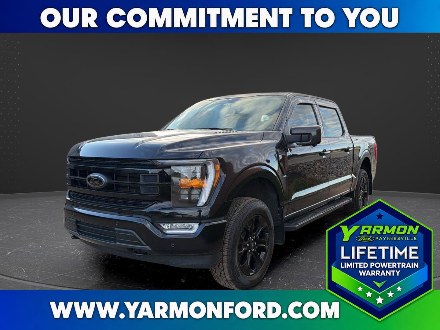 Used 2023 Ford F150 XLT w/ Equipment Group 302A High AWD/4WD image 1