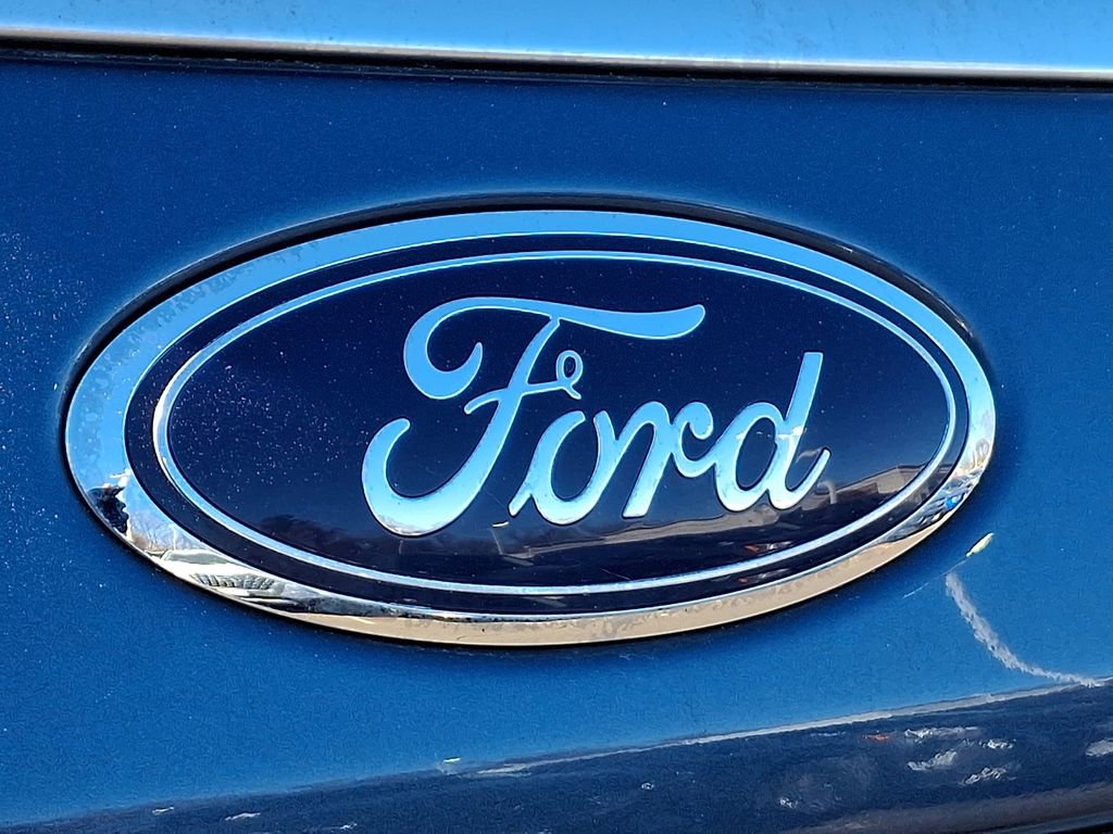 Used 2019 Ford Expedition Platinum image 30