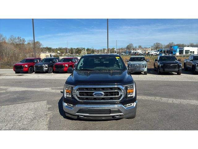 Used 2021 Ford F150 XLT w/ Equipment Group 302A High AWD/4WD image 2
