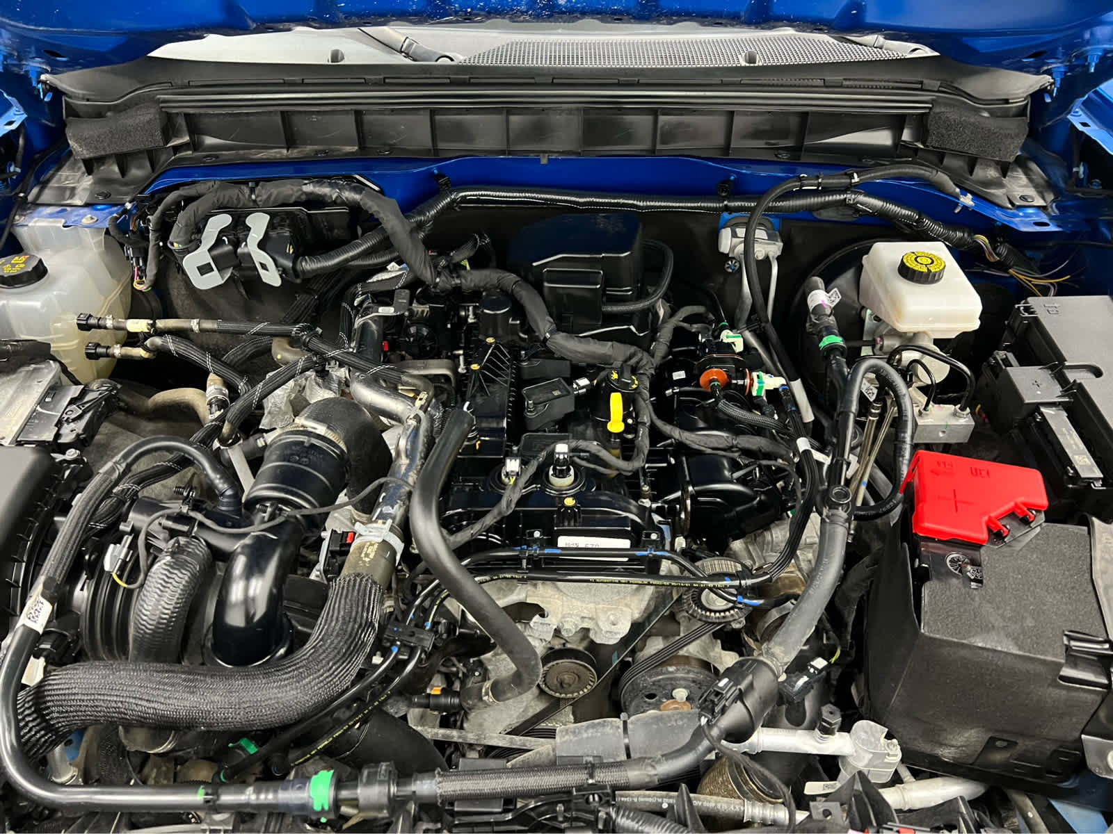 Used 2021 Ford Bronco Big Bend image 16