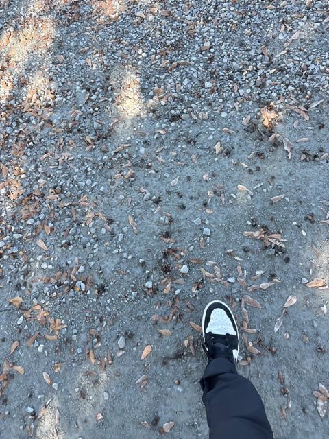 Used 2005 Ford Ranger 2WD Regular Cab image 5