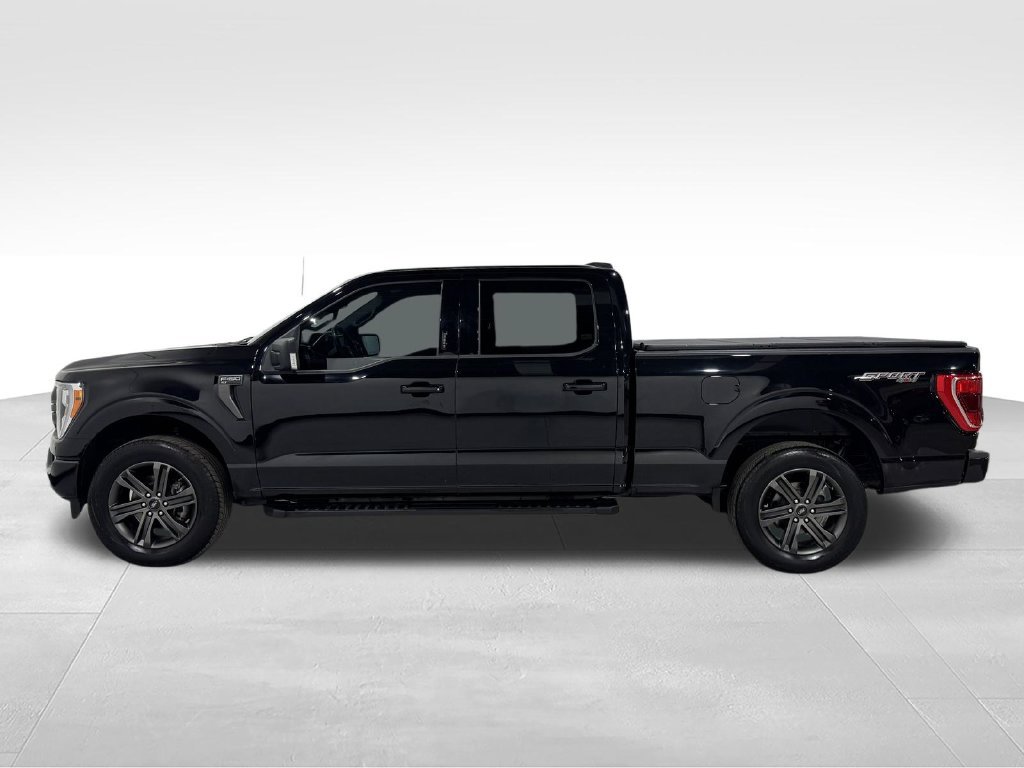 Used 2022 Ford F150 XLT w/ Equipment Group 302A High AWD/4WD image 13