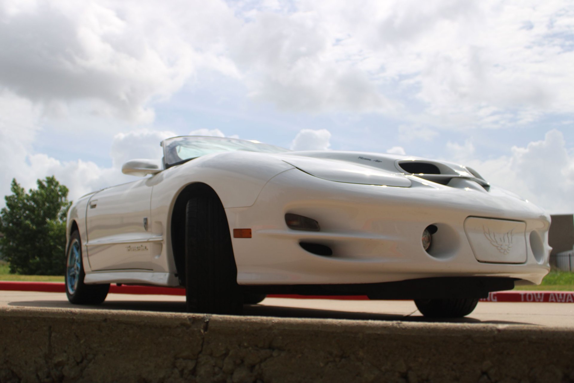 Used 1999 Pontiac Firebird Trans Am RWD image 22