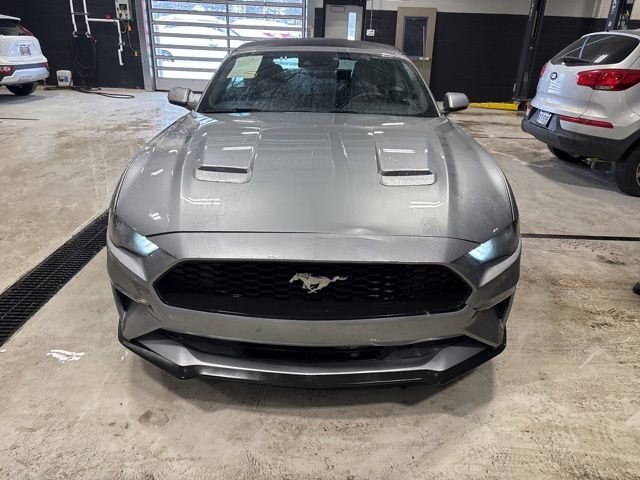 Used 2023 Ford Mustang Premium image 2