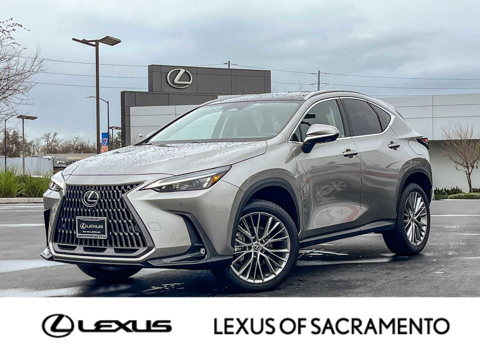 Certified 2023 Lexus NX 350 AWD w/ Vision Package