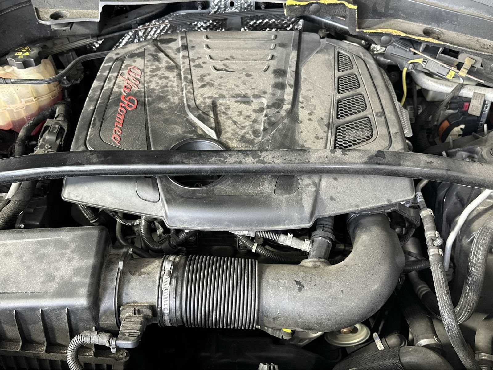 Used 2019 Alfa Romeo Stelvio AWD image 28