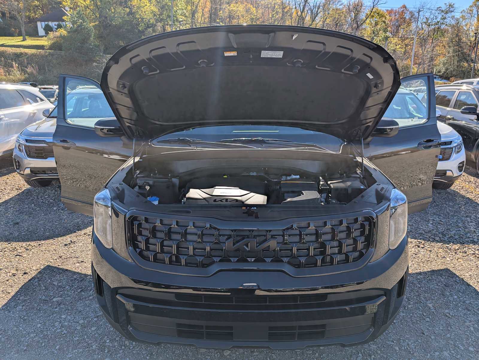 New 2025 Kia Telluride EX X-Line image 10