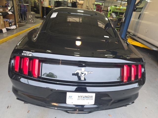 Used 2017 Ford Mustang Coupe image 5