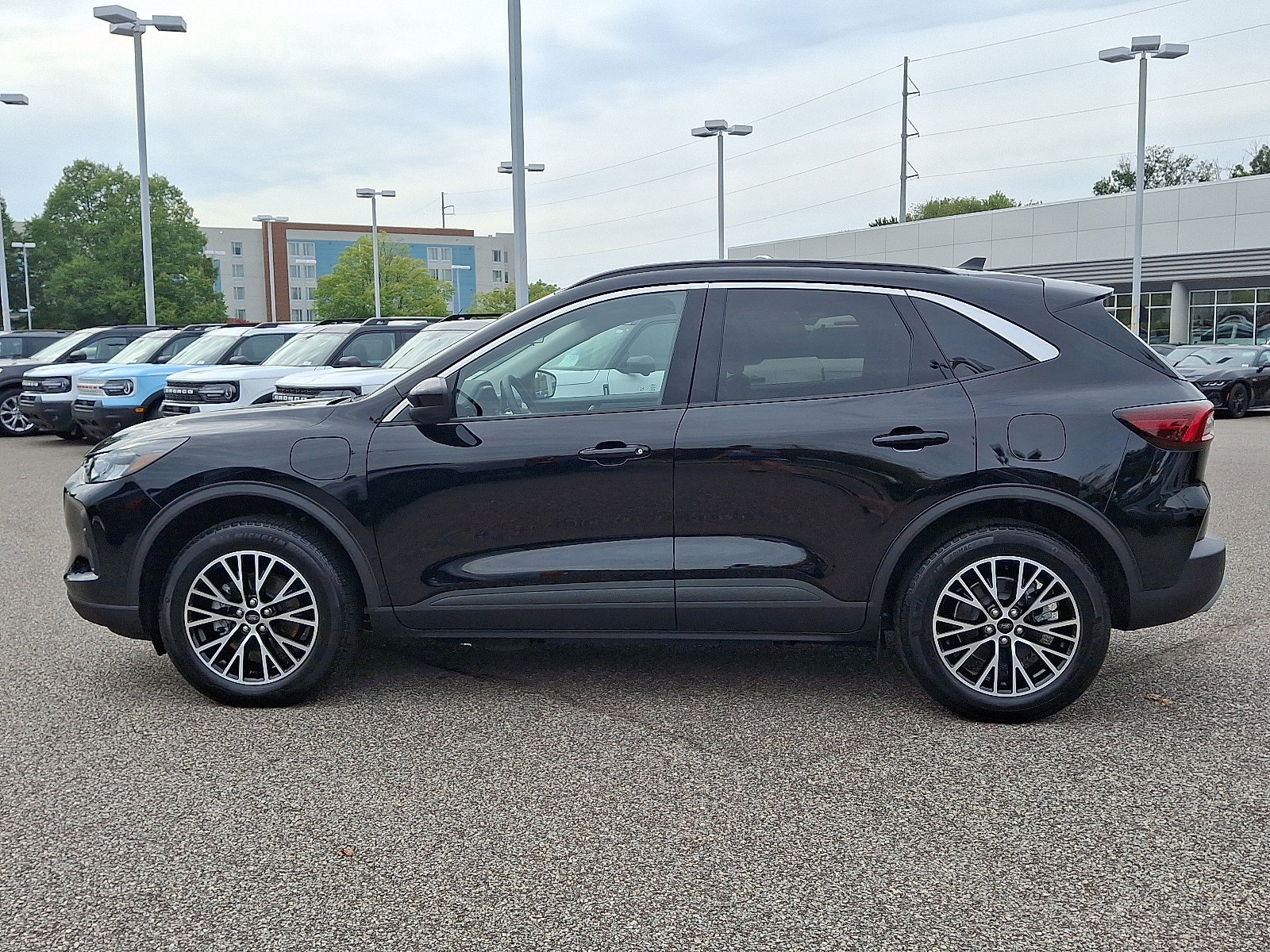 Certified 2024 Ford Escape SE image 6